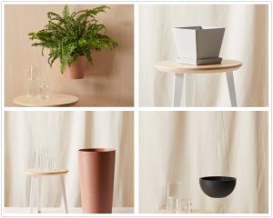 Read more about the article 8 Plant Pots That Is Good For Indoor and Outdoor