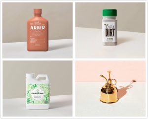 Read more about the article 8 Plant Care Items To Get A Healthier Plant