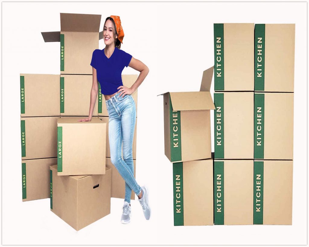 9 best moving boxes that is used to transfer your items