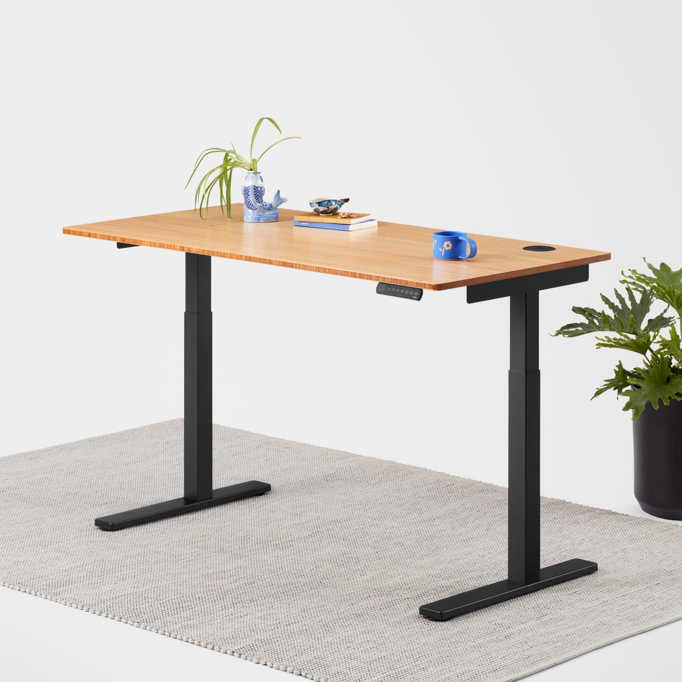 6 Best Standing Desk To Avoid Back Pain Decor Week