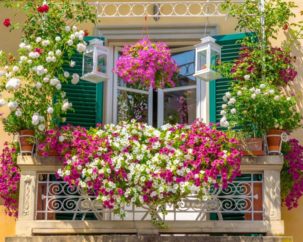 Why You Should Consider a Hanging Planter Rack for Your Balcony